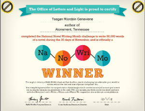 2012-Nano-Winner-small