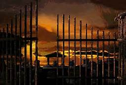 Gate Ajar Night