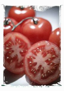 tomatoes