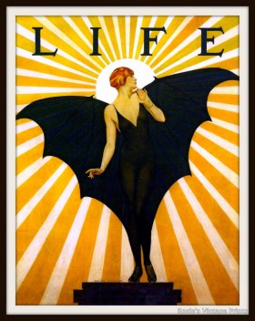 Life Flapper Bat