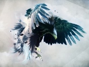 black_eagle_with_open_wings_design-t1
