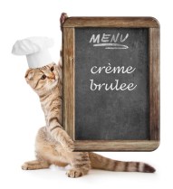 Cat_menu_Episode-9 copy