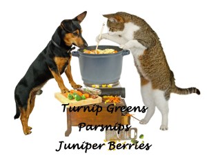 Episode 6 dog cat copy