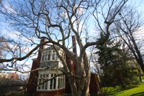 Old House_dreamstime_xs_22975594