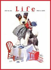 1921 July Life Dog
