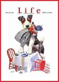 1921 July Life Dog