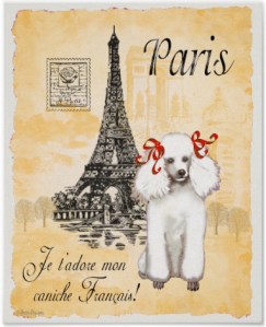 paris Poodle postcard