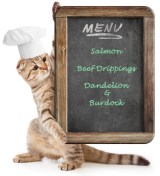 Cat_menu_Episode-20