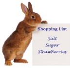 Episode19_Shopping-list