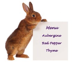 Episode-24 Rabbit_Sign copy