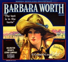 1920s cowgirl grapefruit ad