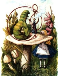 Alice Mushroom Victorian