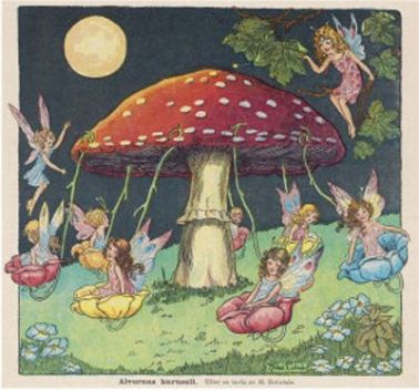 Mushroom faries Carrousel