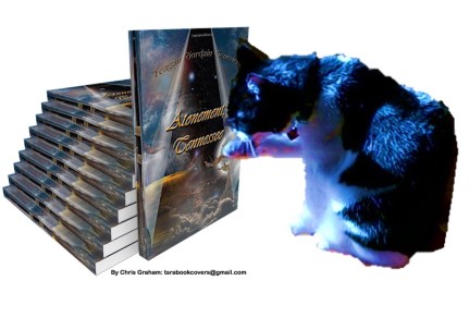 Crystal Reading Atonement