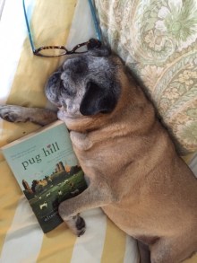 Percy asleep reading