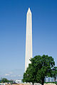washington_monument-_behind_tree