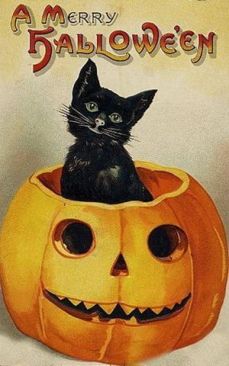 cat halloween