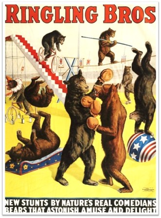 Ringling Bros Bears circus