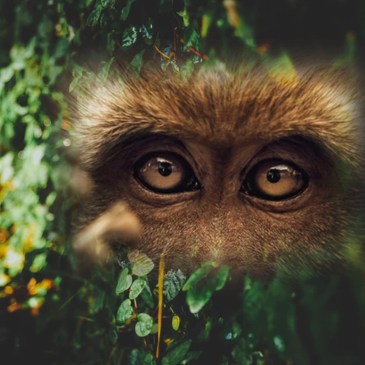 Composite image by Teagan