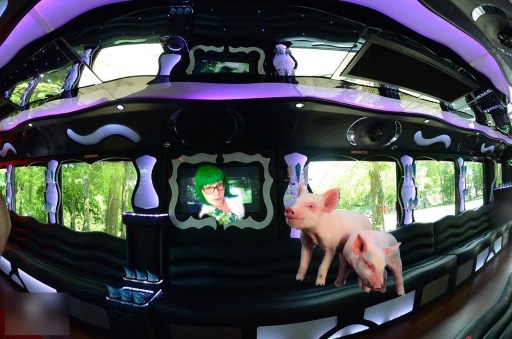 Inside Party Bus 2 pigs me