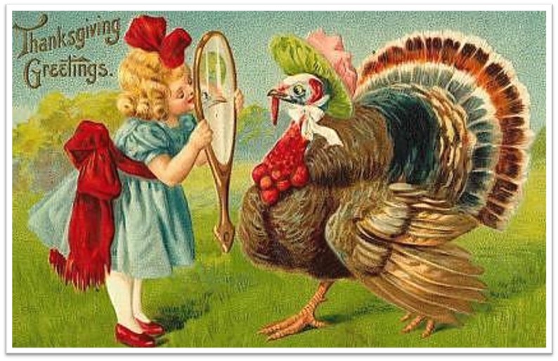 Thanksgiving Victorian girl turkey dress-up