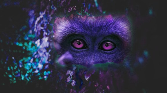 ape eyes purple