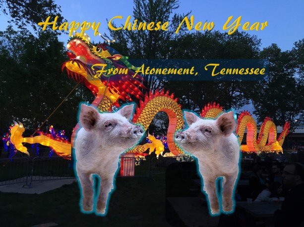 chinese new year pigs