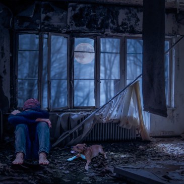 Person Apandoned home dog debris moon