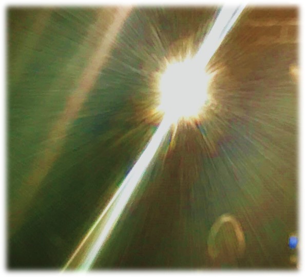 Flash cropped image Dan Antion