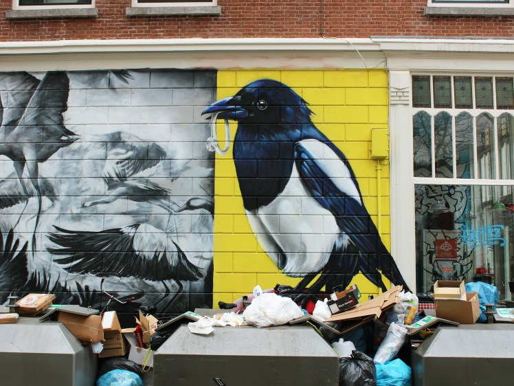 Magpie wall mural by marina-salles