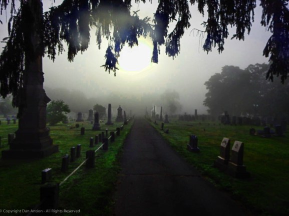 Foggy Cemetery, Dan Antion