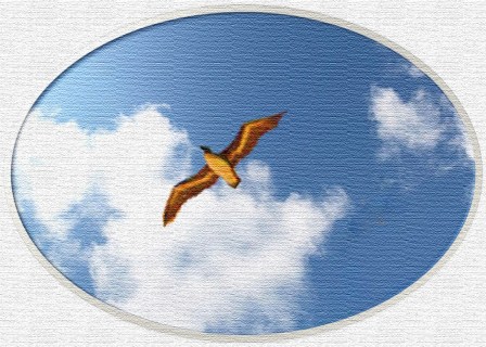 Original photo by Dan Antion, tomfoolery by Teagan