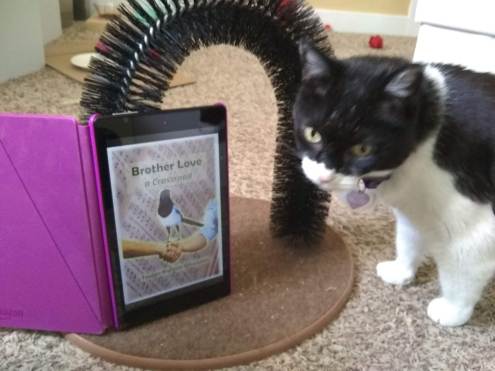 Crystal n Brother Love on kindle