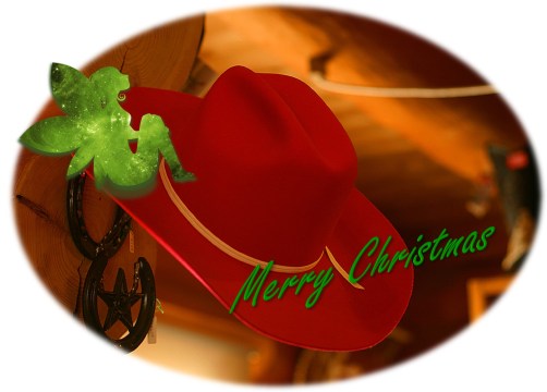Fairy Cowboy hat Christmas