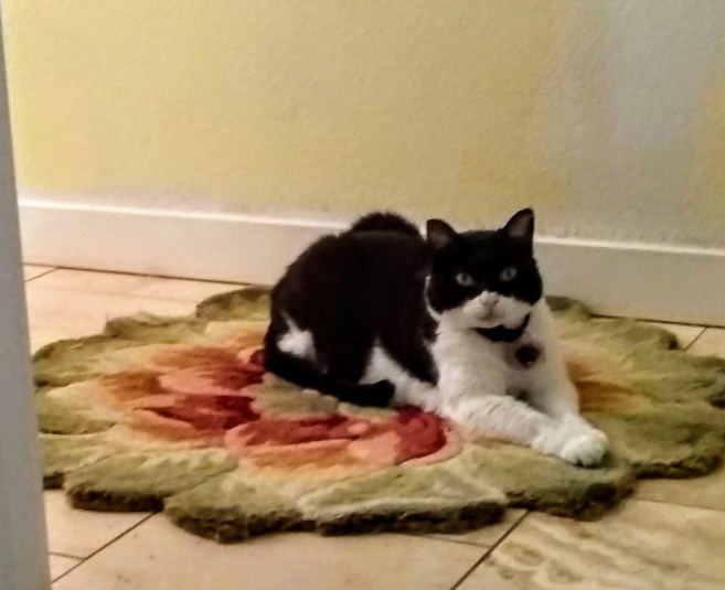 Crystal, May 17, 2020