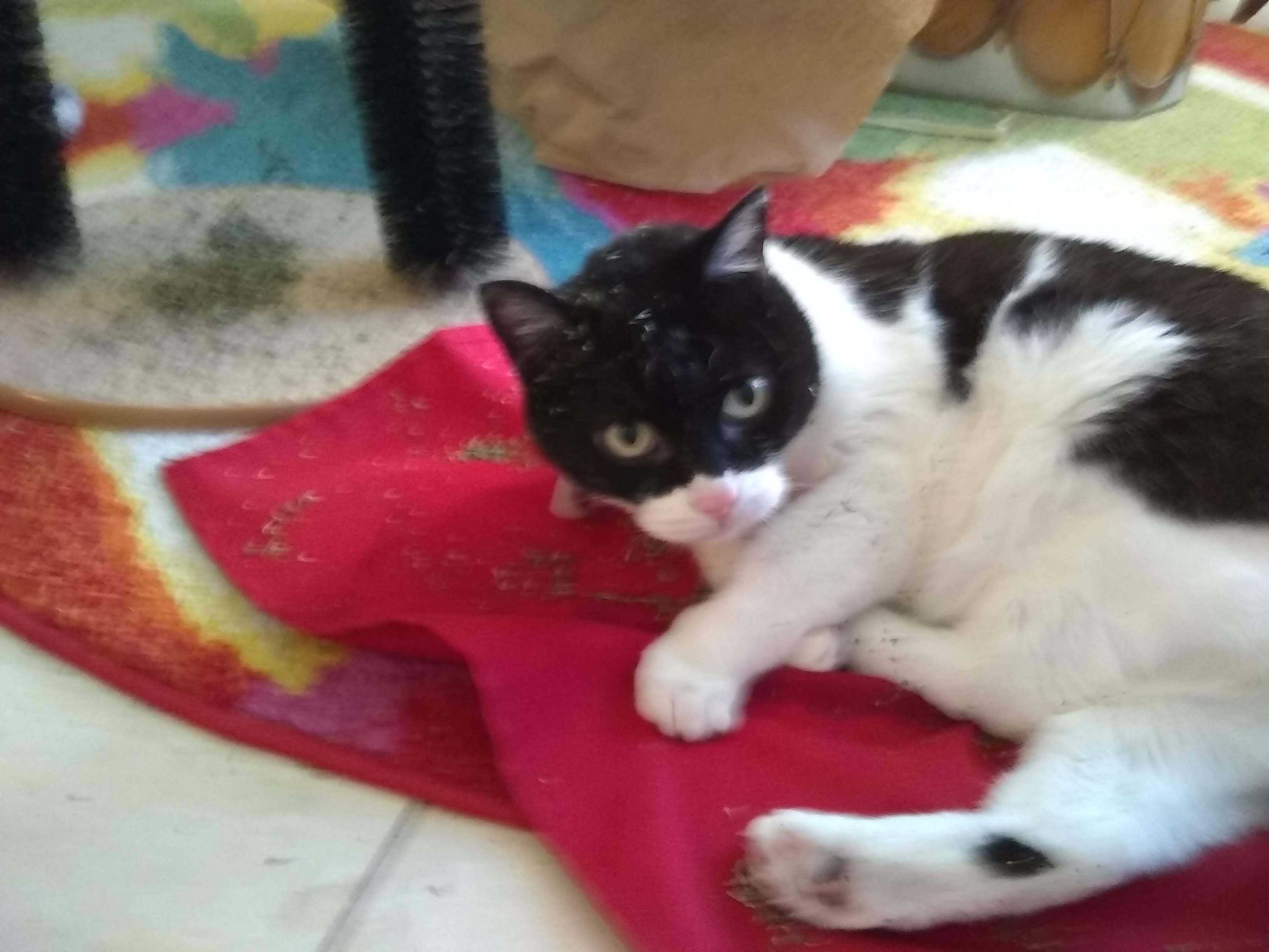 crystal-n-fresh-nip-3-10-29-2020