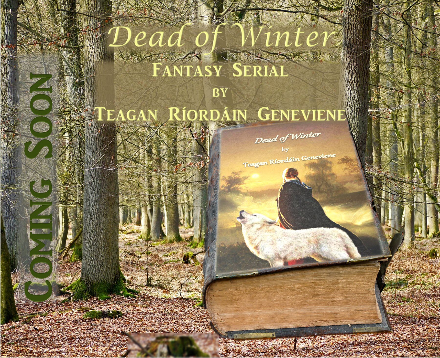 Dead of Winter, promo image by Teagan R. Geneviene