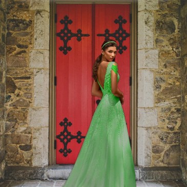 Group I. Red Door Woman Green Gown