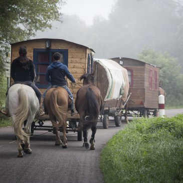 Wendy Corniquet at Pixabay