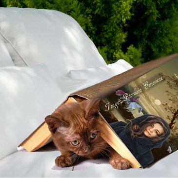 Dead of Winter: Journey 2, Penllyn. Promotional image by Teagan