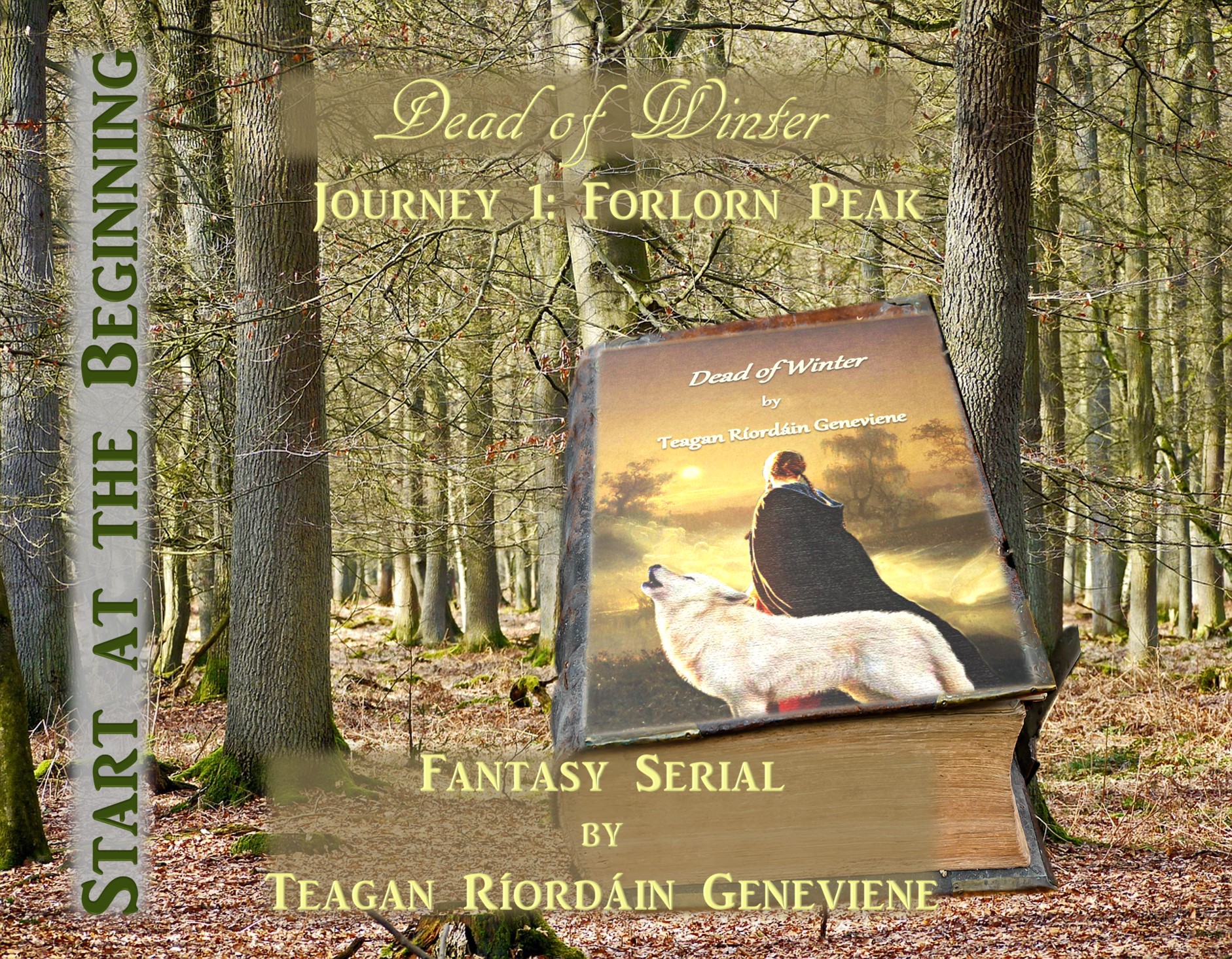 Dead of Winter, Journey 1, by Teagan Riordain Geneviene