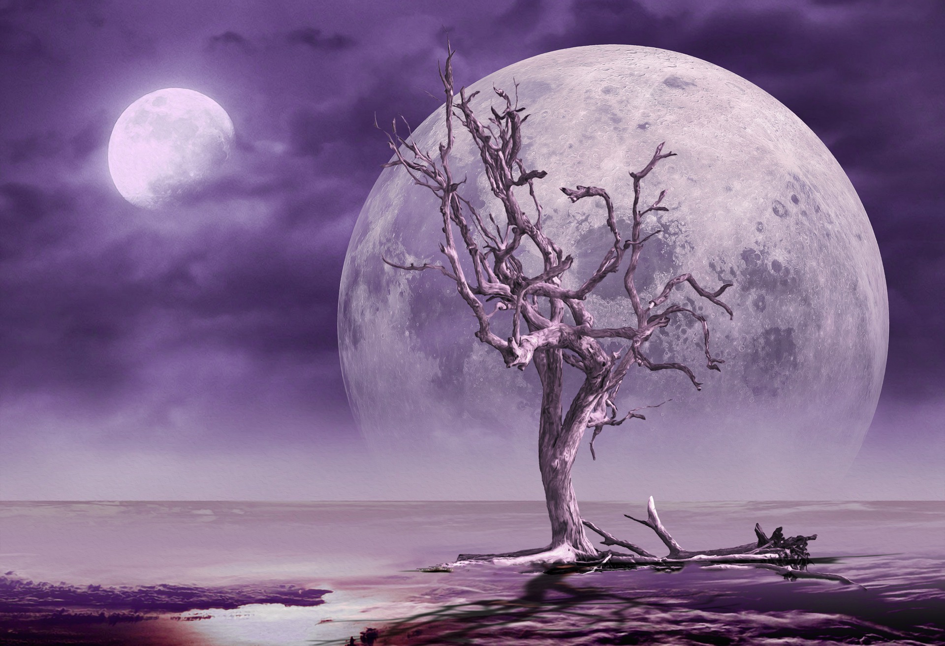 Purple Moon dead tree fantasy Prettysleepy1 Pixabay
