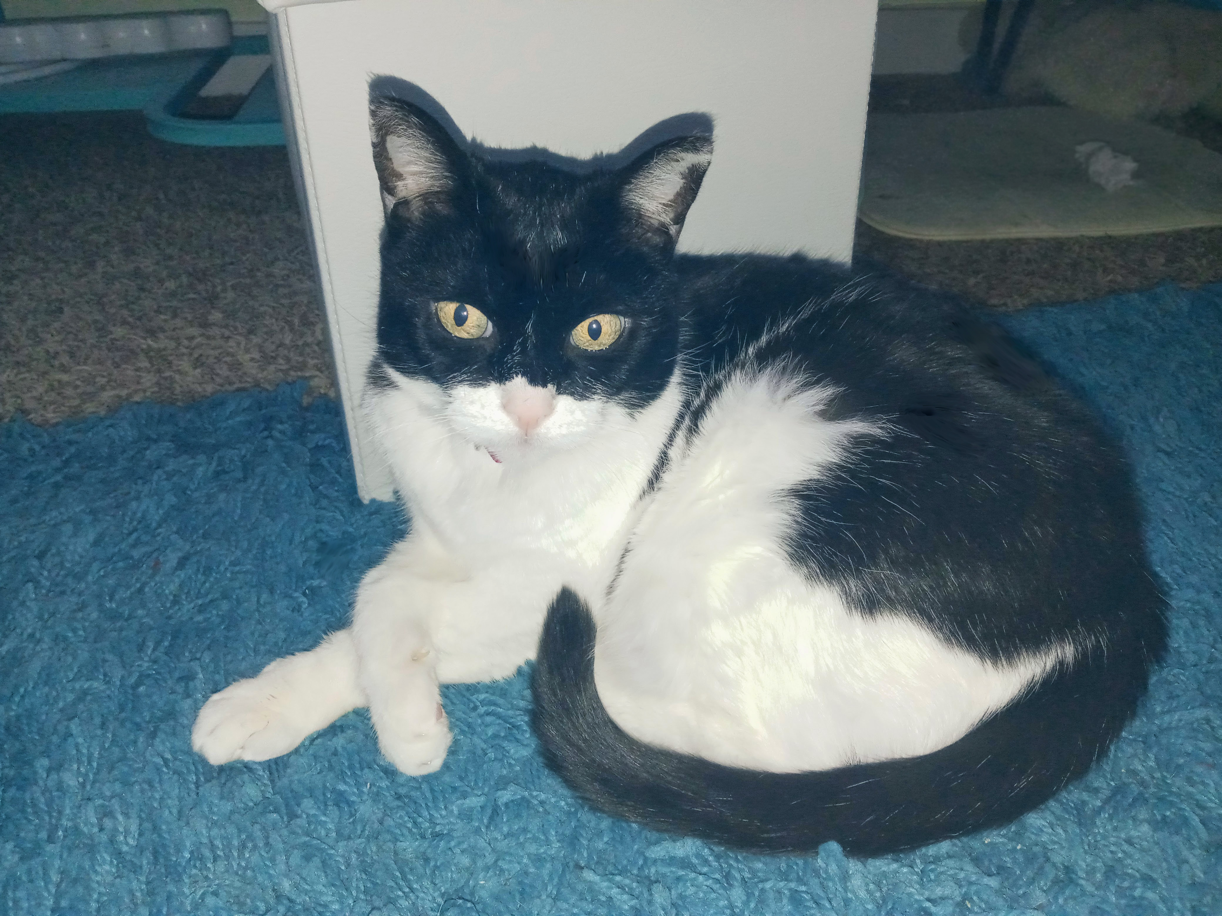 Crystal, August 4, 2021