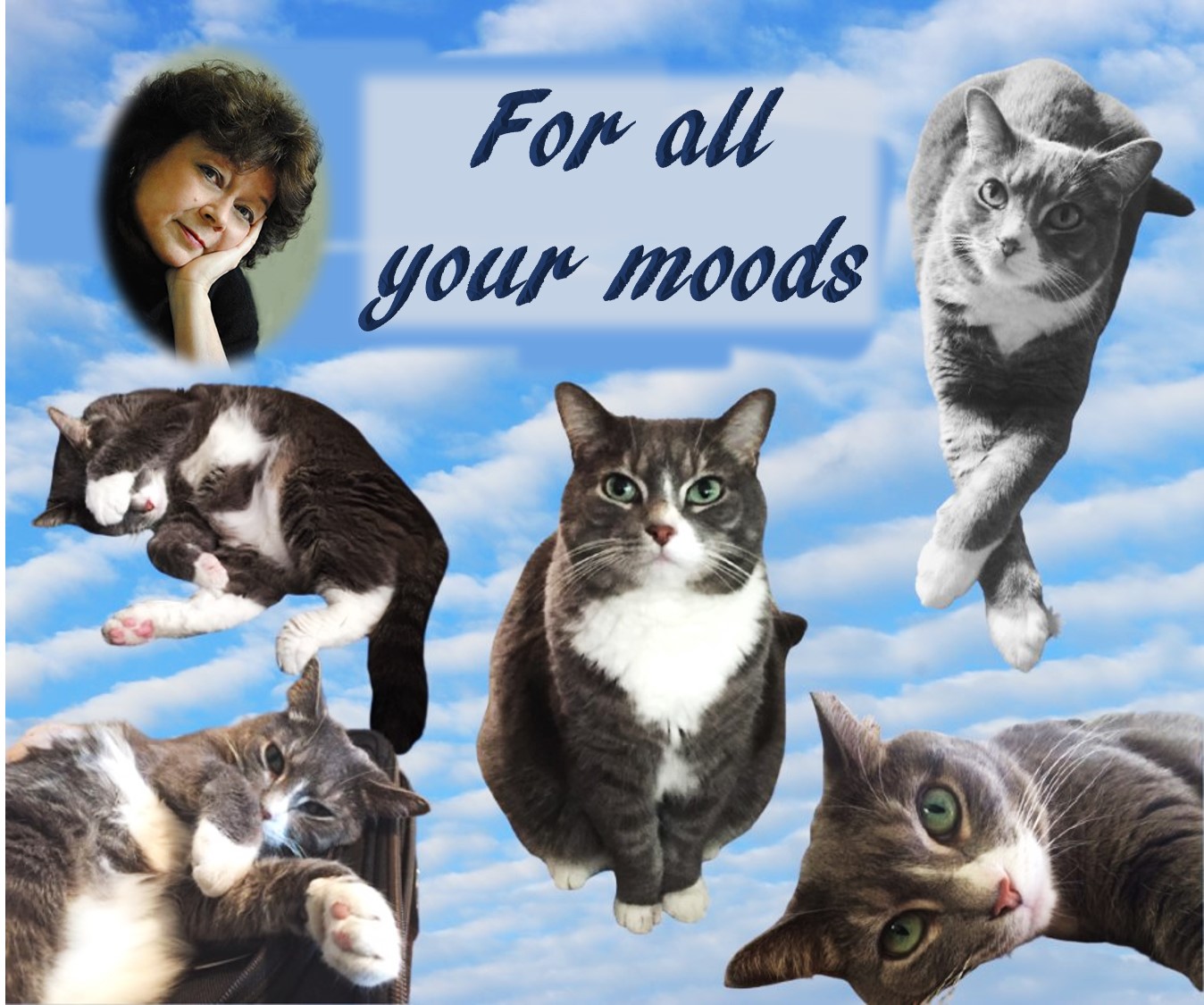 Images of Junebug by SR Mallery, Altered