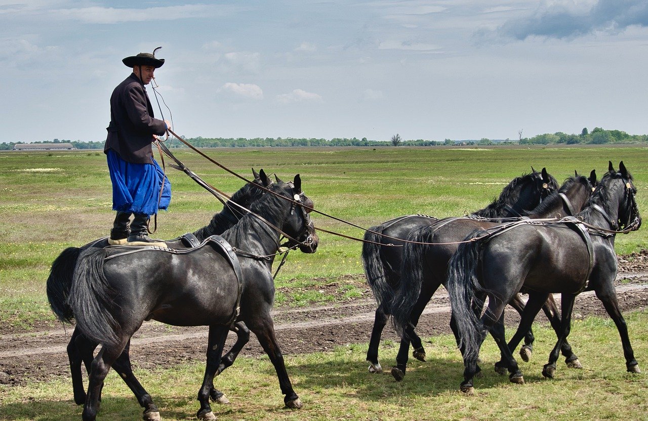 Siggy Nowak at Pixabay