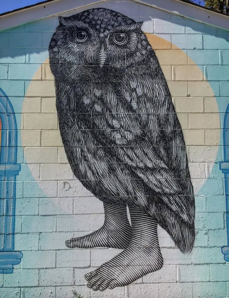 Owl with Feet mural Resa McConaghy 2021