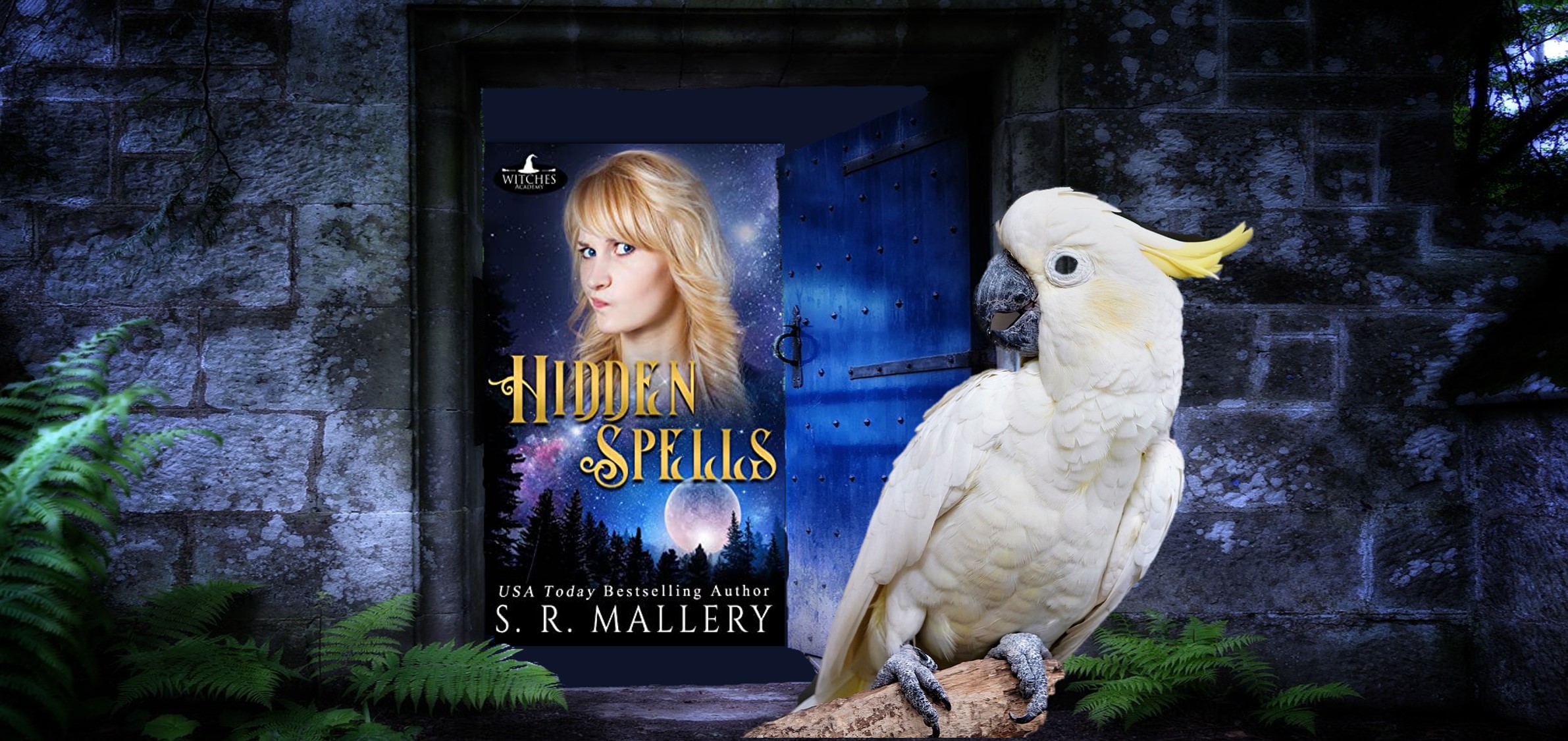 SR Mallery Hidden Spells Doors Promo image by Teagan Geneviene