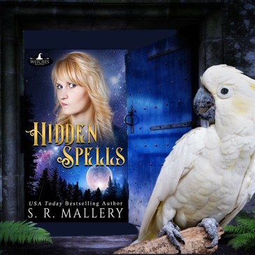 SR Mallery Hidden Spells Doors Promo image by Teagan Geneviene
