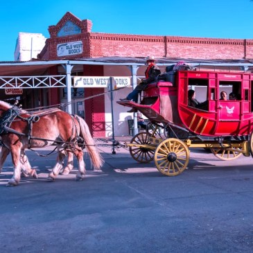 Dark Pink Coach Horses old west Unsplash
