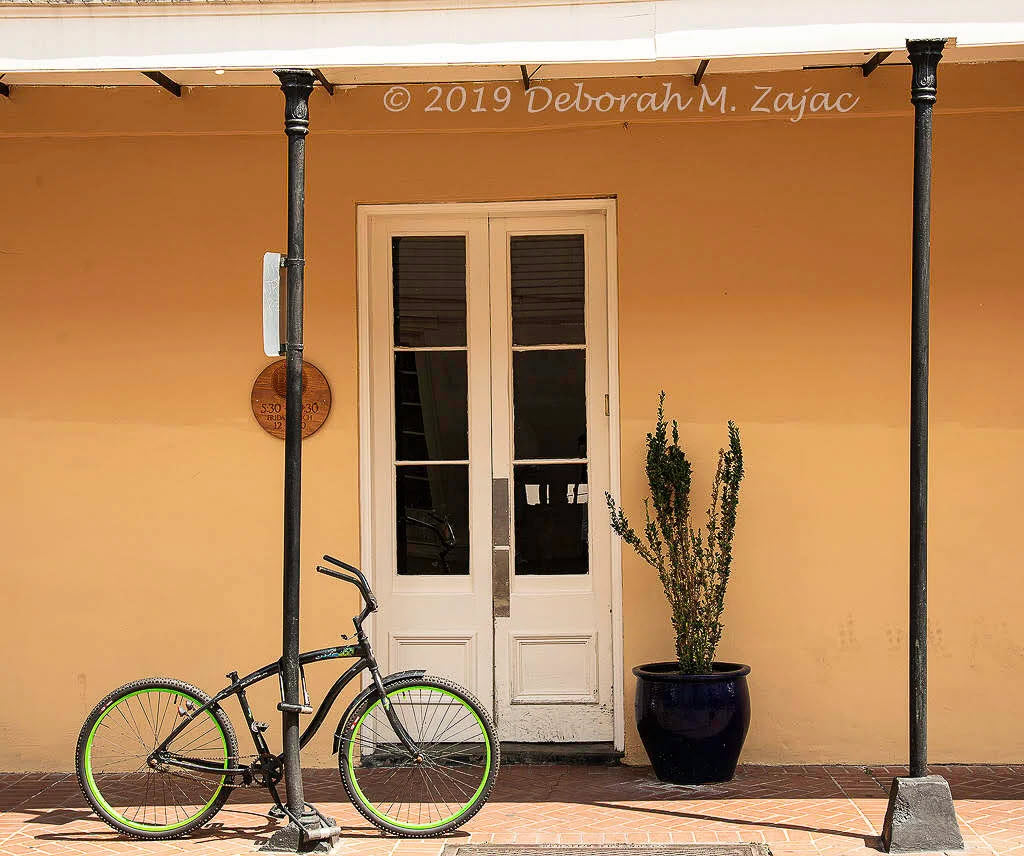 Image C 2019 Deborah M Zajac